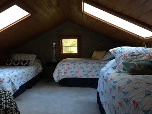 Cozy attic bedroom with two beds, skylights, and colorful bedding featuring butterfly patterns.