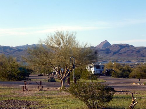 A desert landscape featuring a tree, picnic area, and distant mountains under a clear blue sky.