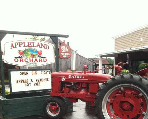 A red tractor parked beside a sign for Appeland Orchard, advertising sweet cider, apples, peaches, and hot pies.