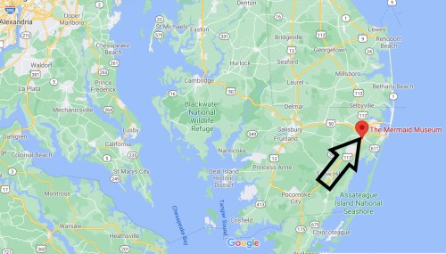 Map showing the location of The Mermaid Museum, marked with an arrow, near the eastern coast of Maryland.