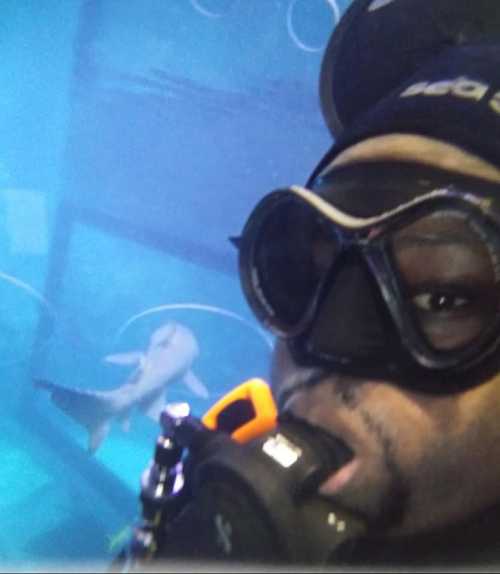 A diver in a wetsuit and mask smiles underwater, with a shark swimming nearby in a blue tank.