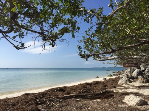 A serene beach scene with clear water, sandy shore, and lush trees framing the view under a blue sky.