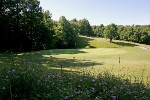 A serene golf course landscape with lush green hills, trees, and a flower-filled foreground under a clear blue sky.