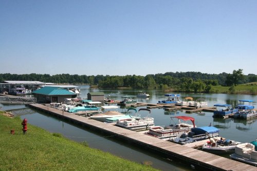A serene marina with multiple boats docked, surrounded by lush greenery and a clear blue sky.