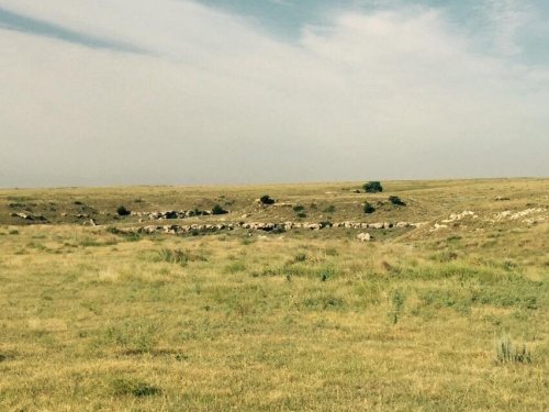 A vast, open landscape with rolling hills and sparse vegetation under a cloudy sky.