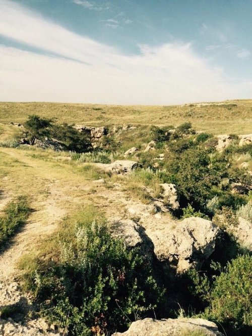 A scenic landscape featuring grassy terrain, rocky outcrops, and sparse vegetation under a clear blue sky.