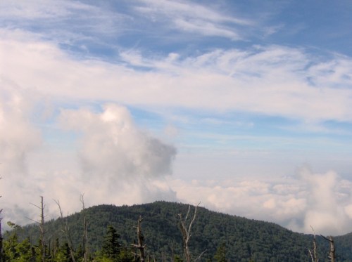 A scenic view of a mountain peak surrounded by clouds and a blue sky, with lush greenery in the foreground.
