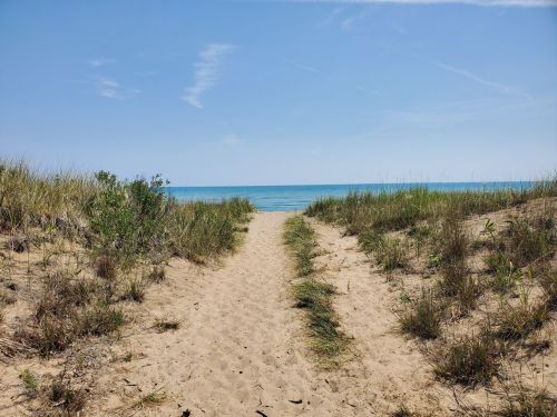A sandy path leads through tall grass to a calm blue lake under a clear sky.