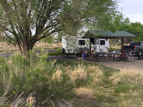 A campsite with a white RV, picnic table, and bicycles near a tree and grassy area.