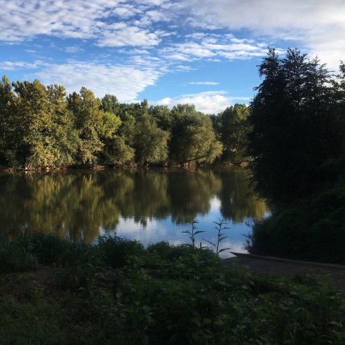 A serene river scene with lush green trees reflecting in the water under a blue sky with scattered clouds.