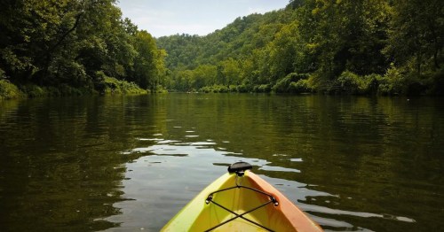 A kayaker drifting along the calm section of Barren Fork surrounded by summer greenery.