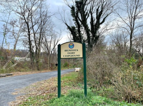 Sign for Brunswick Family Campground along a gravel path, surrounded by bare trees and overgrown vegetation.