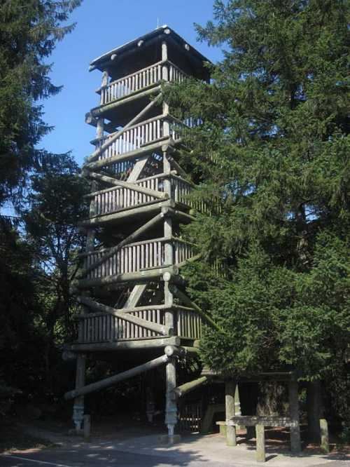 A tall wooden observation tower surrounded by lush green trees under a clear blue sky.