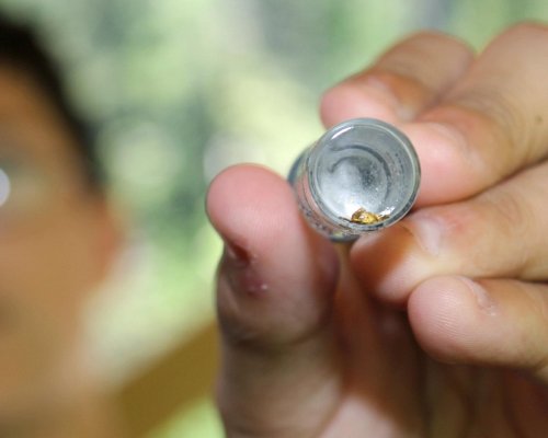 A person holds a small glass vial containing a tiny object, with a blurred background.
