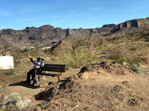 A person sitting on a bench in a desert landscape, waving with mountains in the background under a clear blue sky.