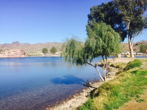 A serene lakeside scene with trees, clear water, and mountains in the background under a blue sky.