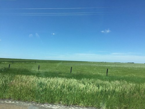 Vast green fields under a clear blue sky with a few clouds and distant power lines.