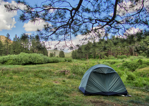 A tent set up in a lush green meadow surrounded by trees and a blue sky with fluffy clouds.