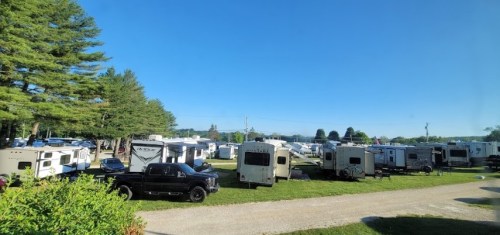 A wide view of a campground with several RVs parked among trees under a clear blue sky.