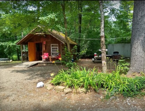 A small wooden cabin surrounded by trees, with a gravel path and outdoor seating areas.
