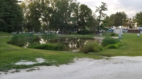 A serene pond surrounded by lush greenery and trees, with a sandy path leading to the water's edge.
