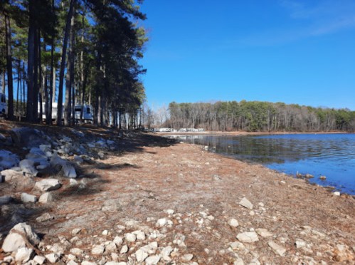 A serene lakeside view with trees, rocky shore, and clear blue sky, reflecting calm water and distant cabins.