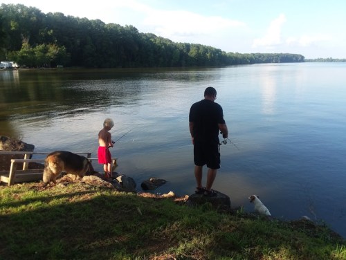 A child and an adult fish by a calm lake, with two dogs nearby and trees lining the shore in the background.