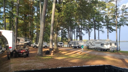 A serene lakeside campsite with RVs parked among tall trees, sunlight filtering through the leaves.