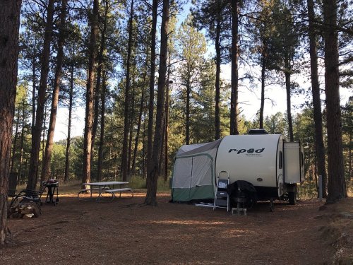 A camper set up in a wooded area, surrounded by tall trees, with a picnic table and fire pit nearby.