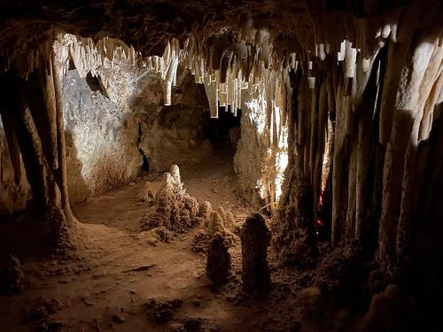 A dimly lit cave interior featuring stalactites and stalagmites, with textured rock formations and shadows.