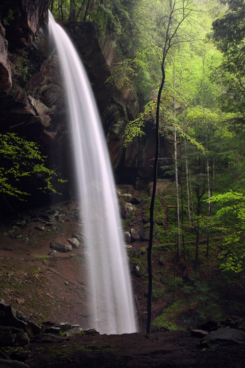 A serene waterfall cascades down rocky cliffs, surrounded by lush green trees in a tranquil forest setting.