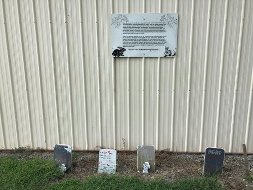 A plaque on a wall above several small gravestones in a grassy area, commemorating pets or animals.