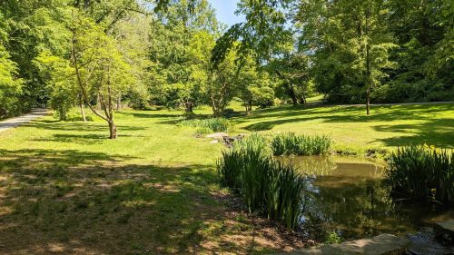 A serene park scene with lush green trees, a small pond, and a winding path under a clear blue sky.