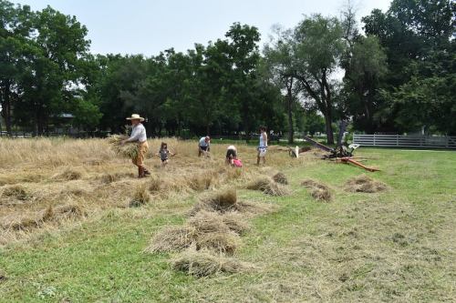 A group of people working in a field, gathering hay under a sunny sky with trees in the background.