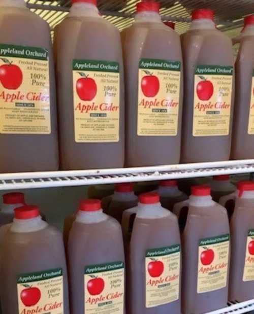 Bottles of apple cider lined up on a shelf, each labeled "100% Pure Apple Cider."