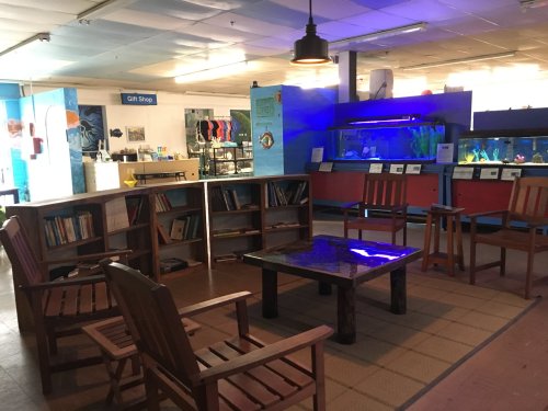 A cozy indoor space with wooden chairs, a table, and an aquarium, featuring a gift shop in the background.