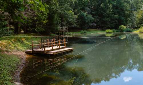 A serene pond surrounded by trees, featuring a wooden dock extending over the calm water.