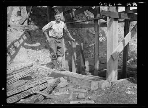 A man stands on wooden beams at a construction site, surrounded by timber and earth.