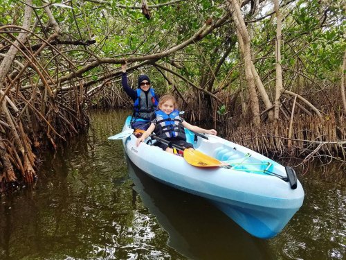 A child and adult kayak through a mangrove forest, surrounded by lush greenery and calm waters.