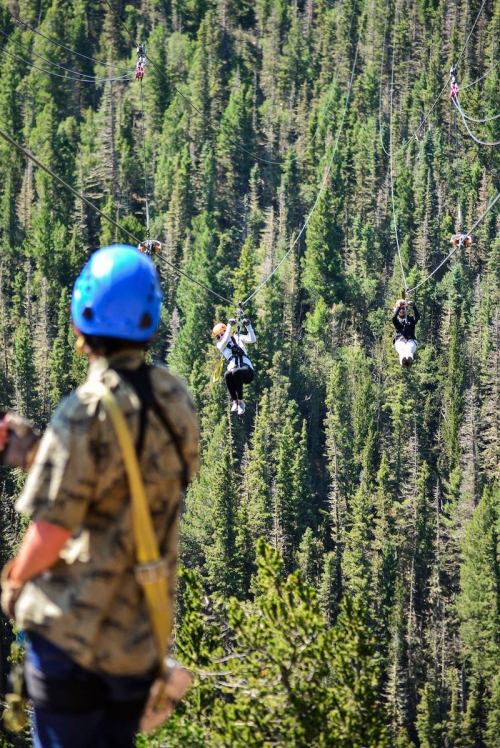A person in a blue helmet watches as others zip line through a forested area.