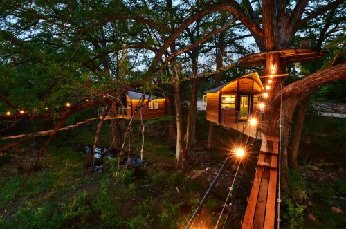 A scenic view of treehouses connected by a wooden walkway, illuminated by string lights, surrounded by lush greenery.