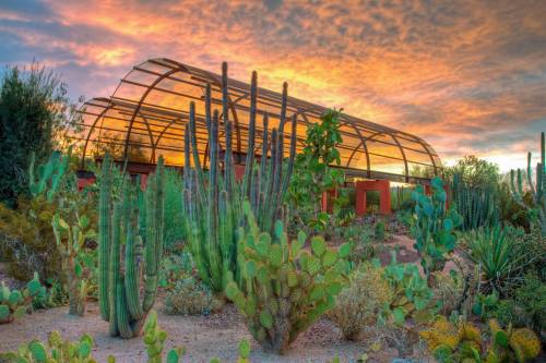 A desert landscape featuring various cacti with a modern greenhouse under a colorful sunset sky.