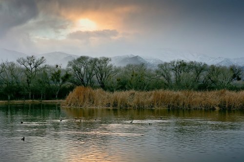 A serene landscape featuring a calm lake, reeds, and mountains under a cloudy sky with a hint of sunlight.