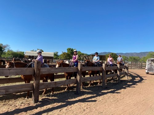 A group of riders on horseback lined up along a wooden fence at a ranch under a clear blue sky.