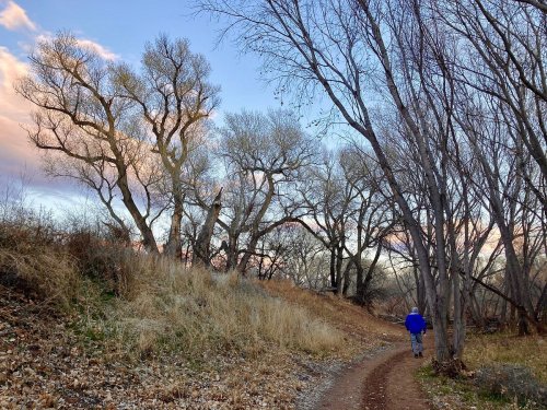 A person walks along a winding path surrounded by trees and grass under a colorful sky at dusk.
