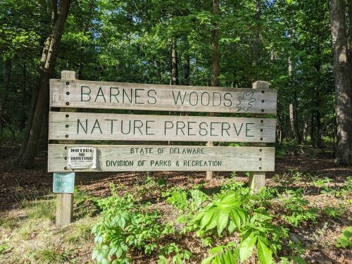 Sign for Barnes Woods Nature Preserve in Delaware, indicating it's managed by the Division of Parks & Recreation.