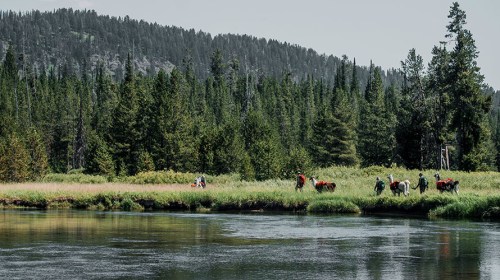 A group of people with horses walking along a riverbank, surrounded by lush greenery and mountains in the background.