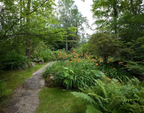 A lush garden path surrounded by vibrant greenery and blooming orange flowers under a cloudy sky.