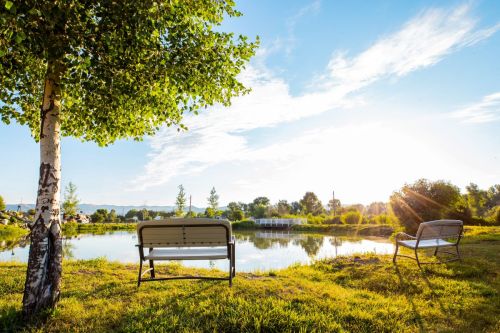 Two benches by a serene pond, surrounded by lush greenery and bathed in warm sunlight under a clear blue sky.