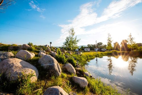 A serene landscape featuring a pond, large rocks, green grass, and trees under a clear blue sky with sunlight.
